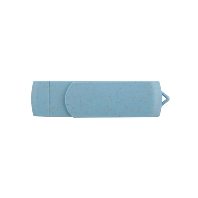 Recyclable Materials USB Flash Drive With Type C U Disk For Data Storage