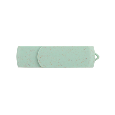 Password Supported Custom Logo Type C USB Flash Drive for Mass Storage and Data Upload