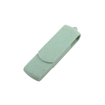 Password Supported Custom Logo Type C USB Flash Drive for Mass Storage and Data Upload