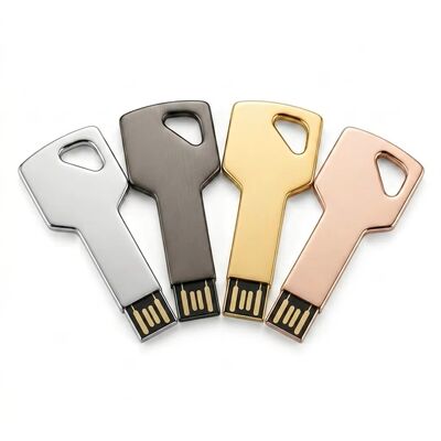 Encryption Enabled Zinc Alloy Key USB Flash Drive Custom Design Welcome Durable Secure Storage Device Ideal For Business